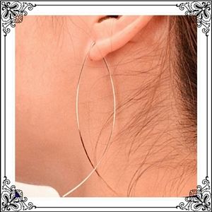 Silver Fish Hoop Earrings